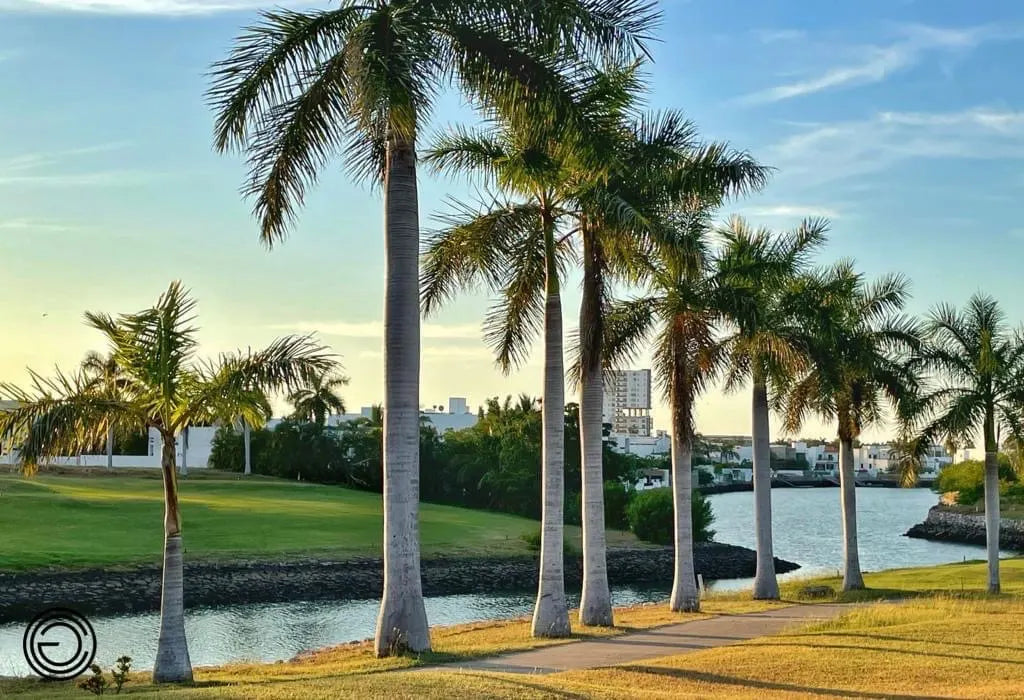 Terreno en venta en Vivar El Cid, Mazatlán – foto 2