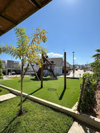 Casa en renta en Palmilla Grand Residencial, Cerritos