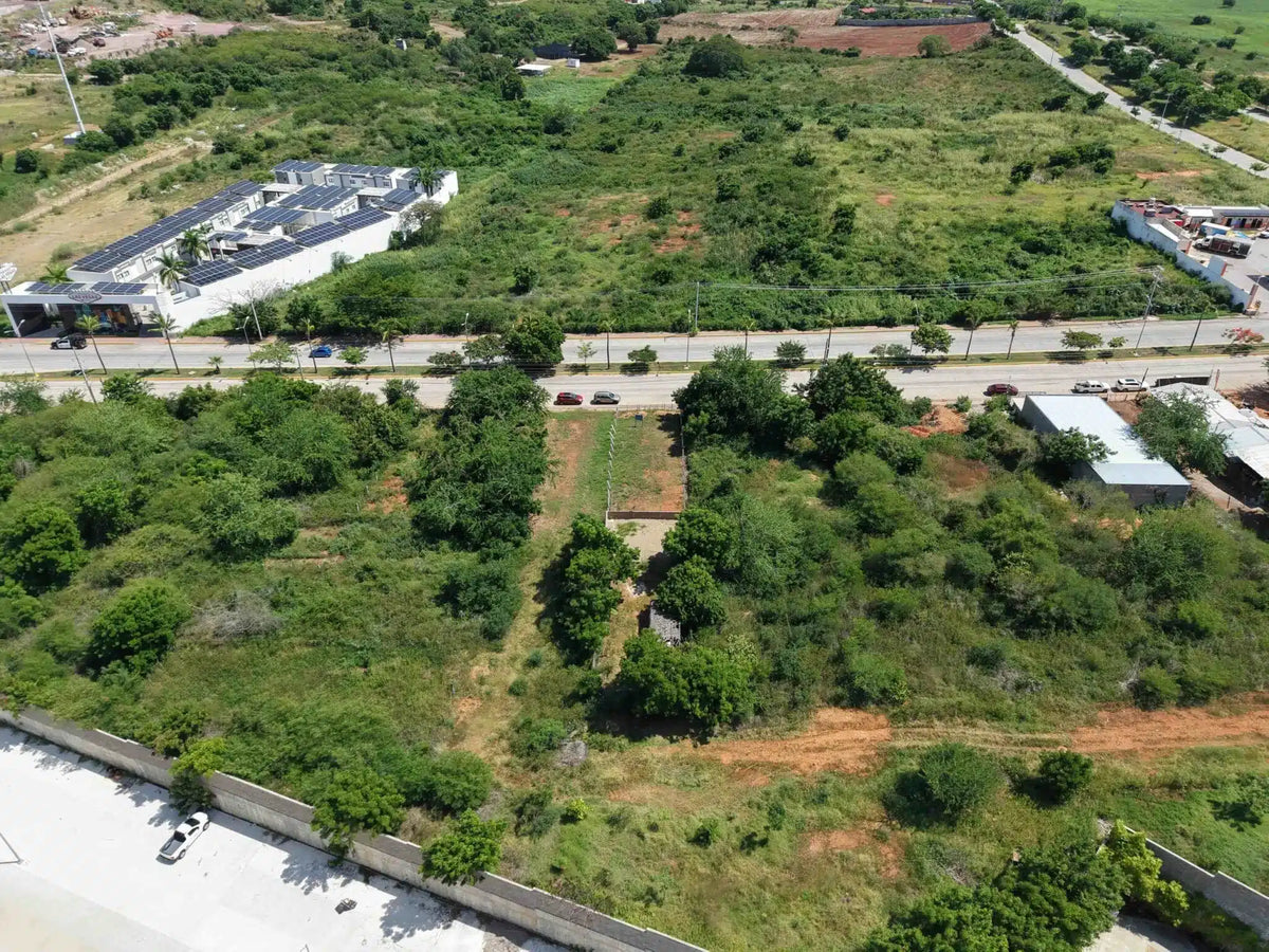 Vista aérea del terreno en Marina Universidad con vegetación y vialidad de acceso